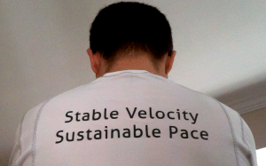 Stable Velocity Sustainable Pace