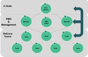 Org Structure All