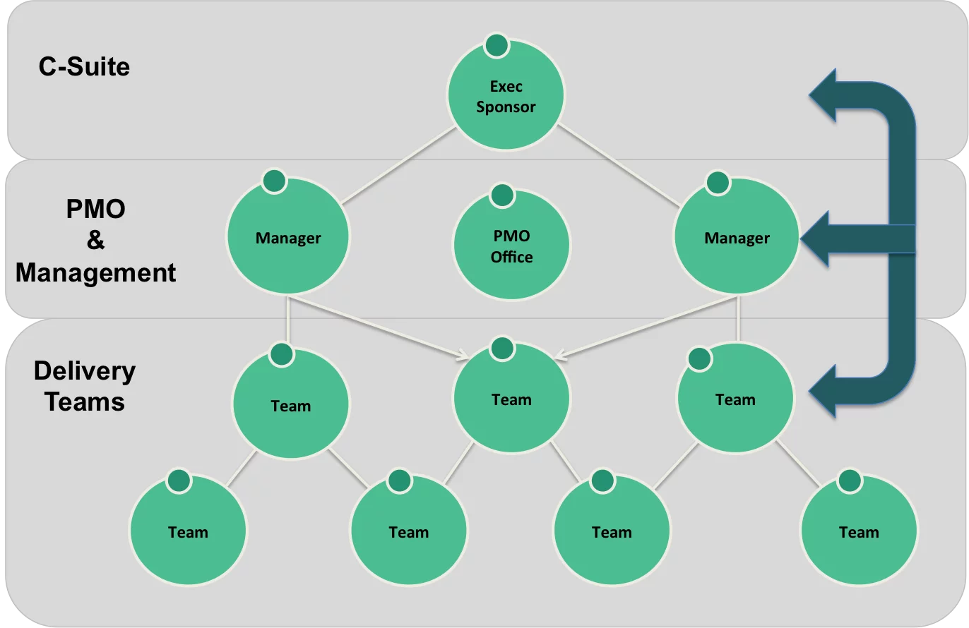 Agile Project Organization Chart