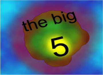 the big 5