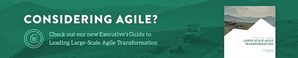 executives guide to agile transformation