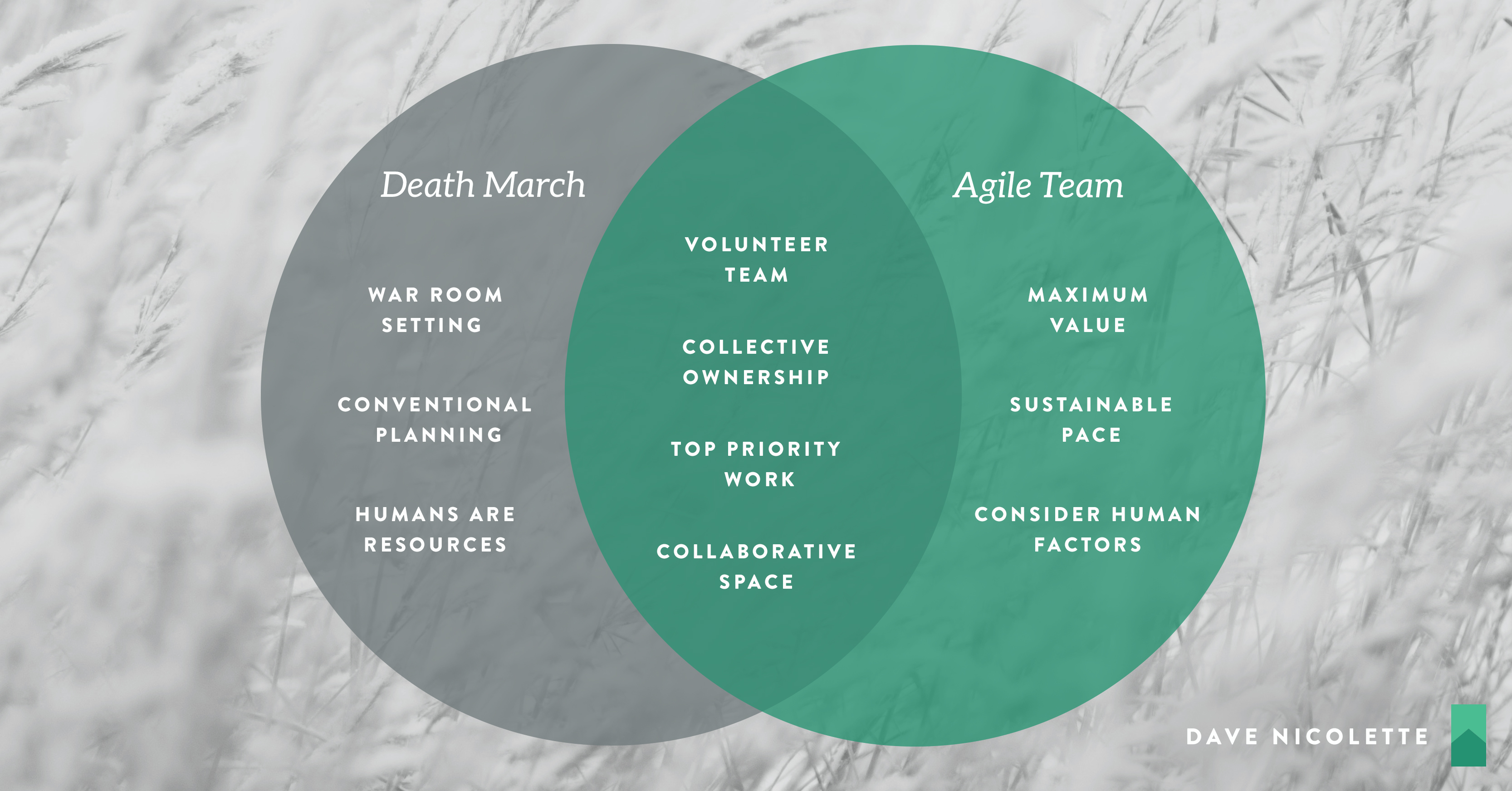 Death March Project: The Agile Death March