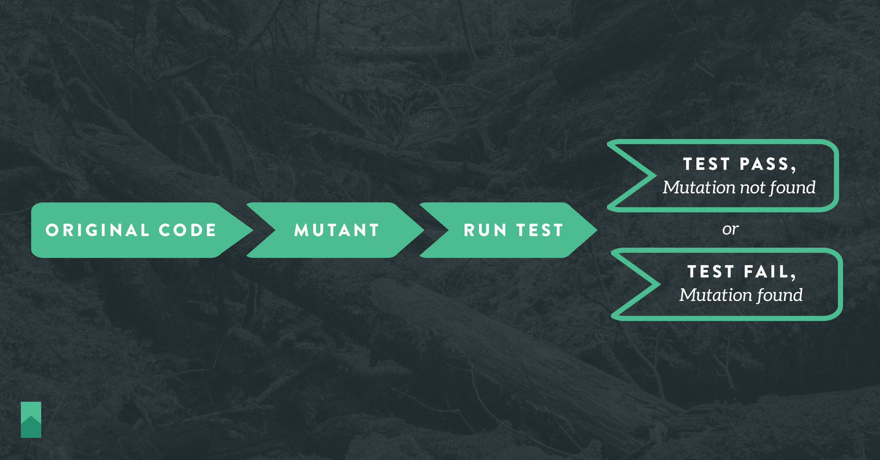 Mutation Testing