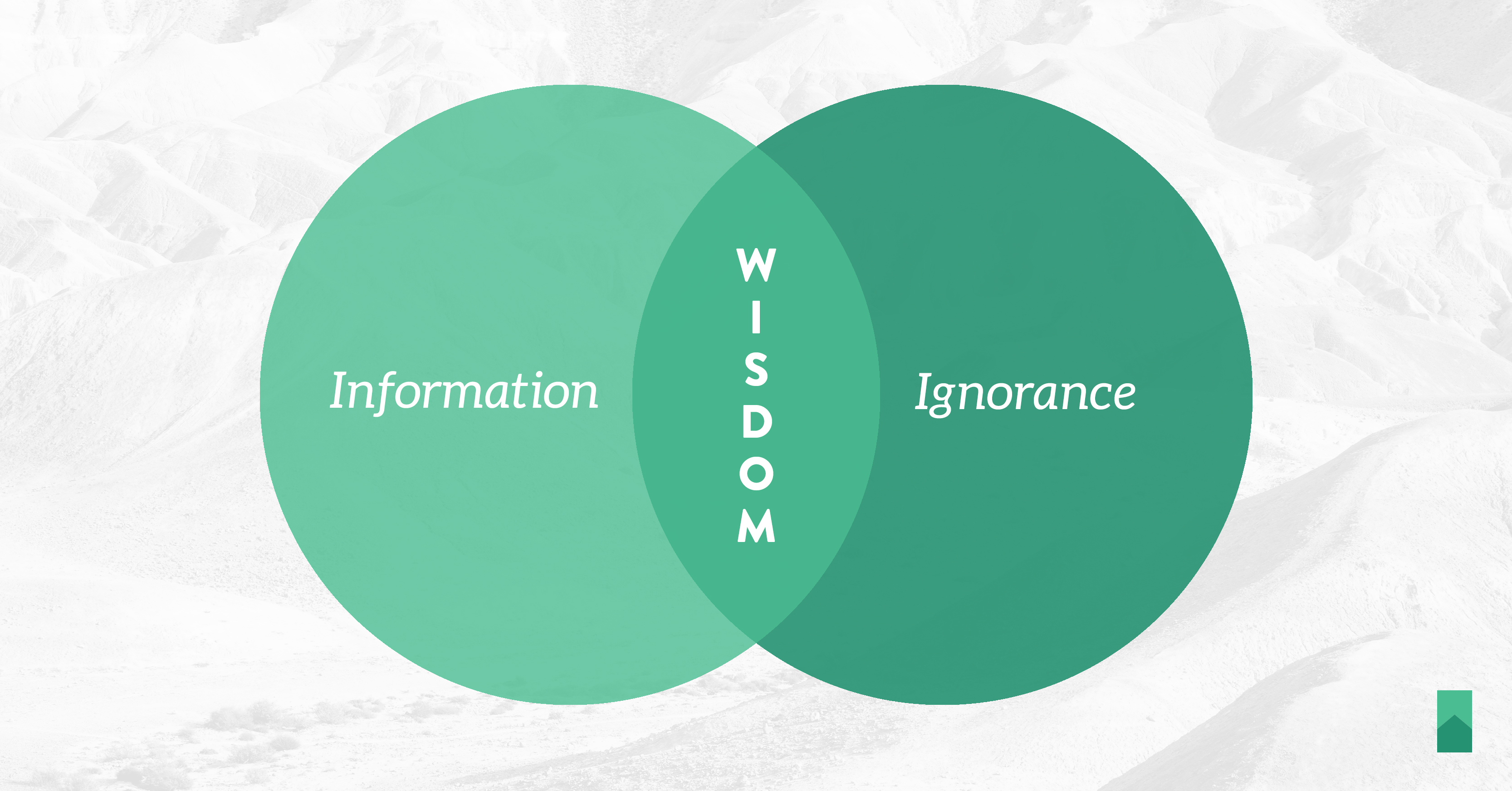 Ignorance is Wisdom