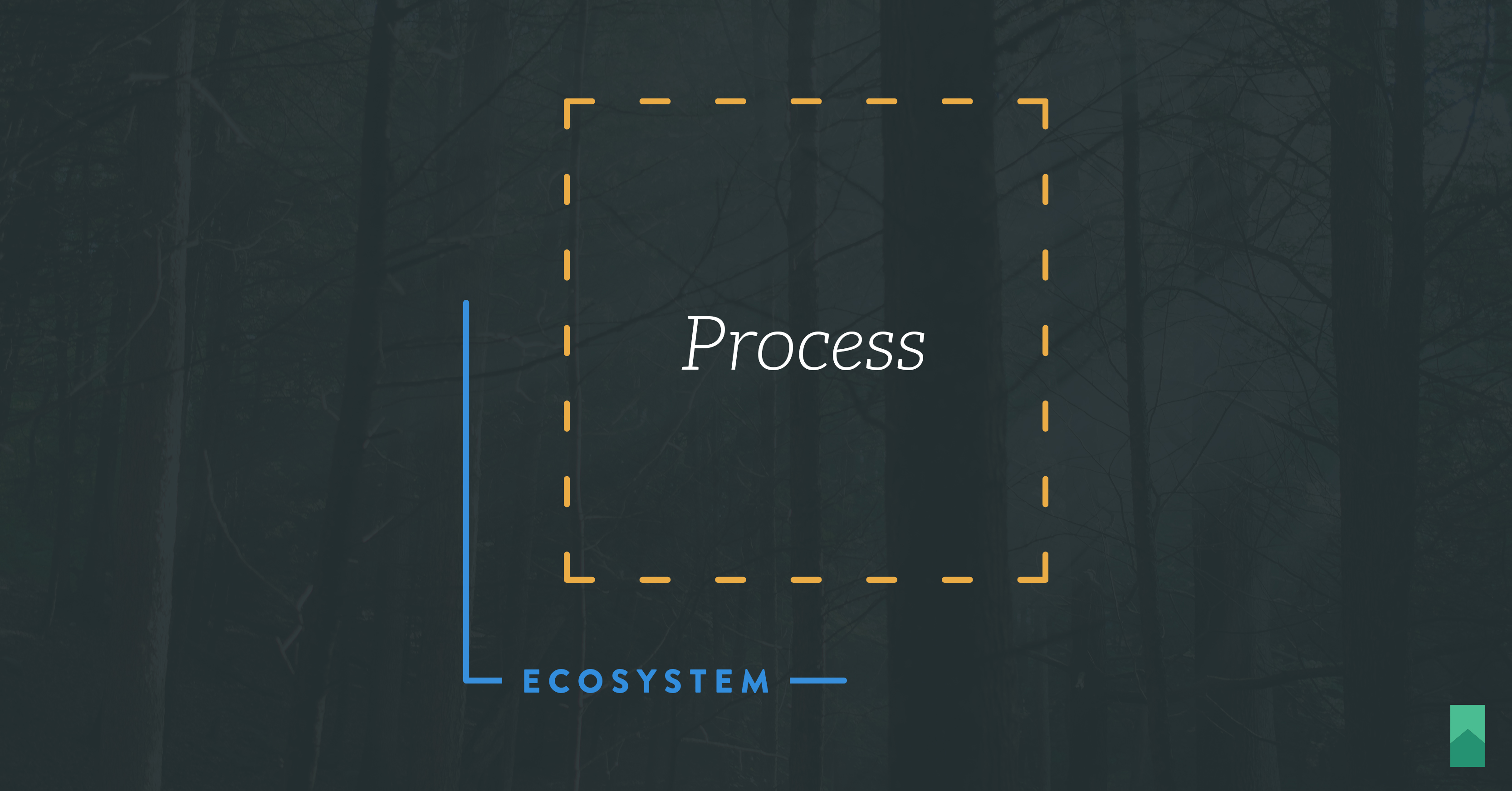 Congruence Between Agile Process and Ecosystem