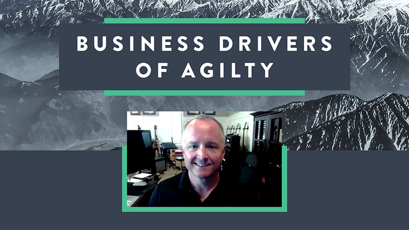 Business Drivers of Agility