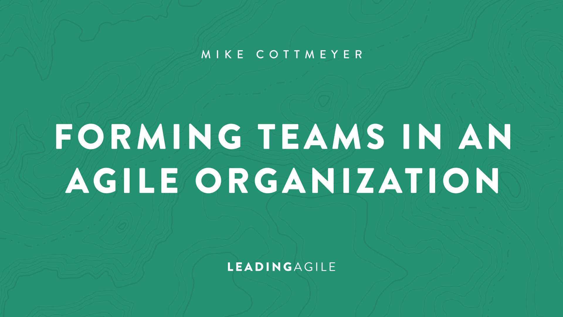 Forming Teams in an Agile Organization