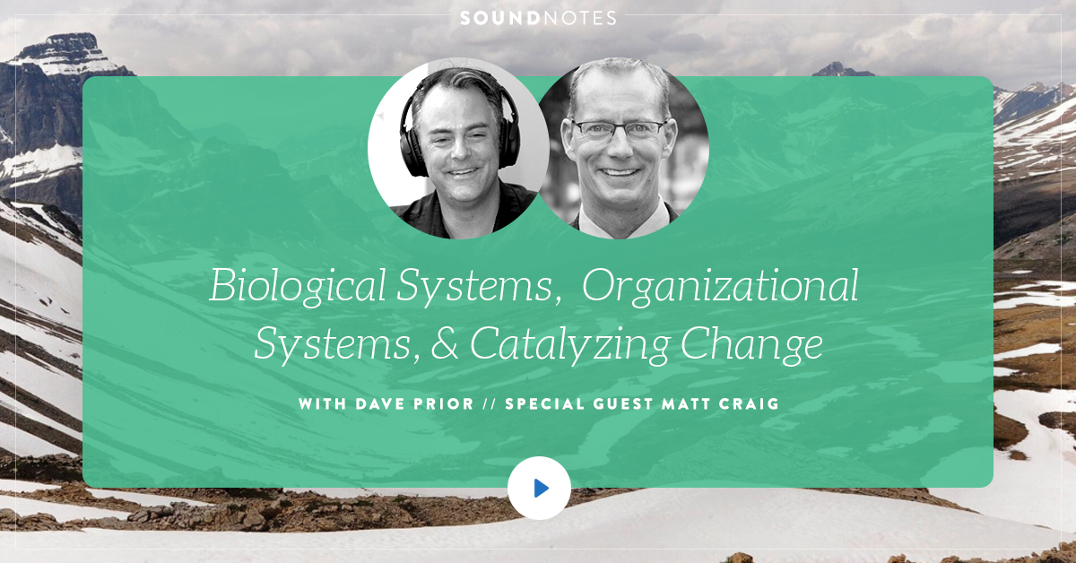 Organizational Systems & Catalyzing Change