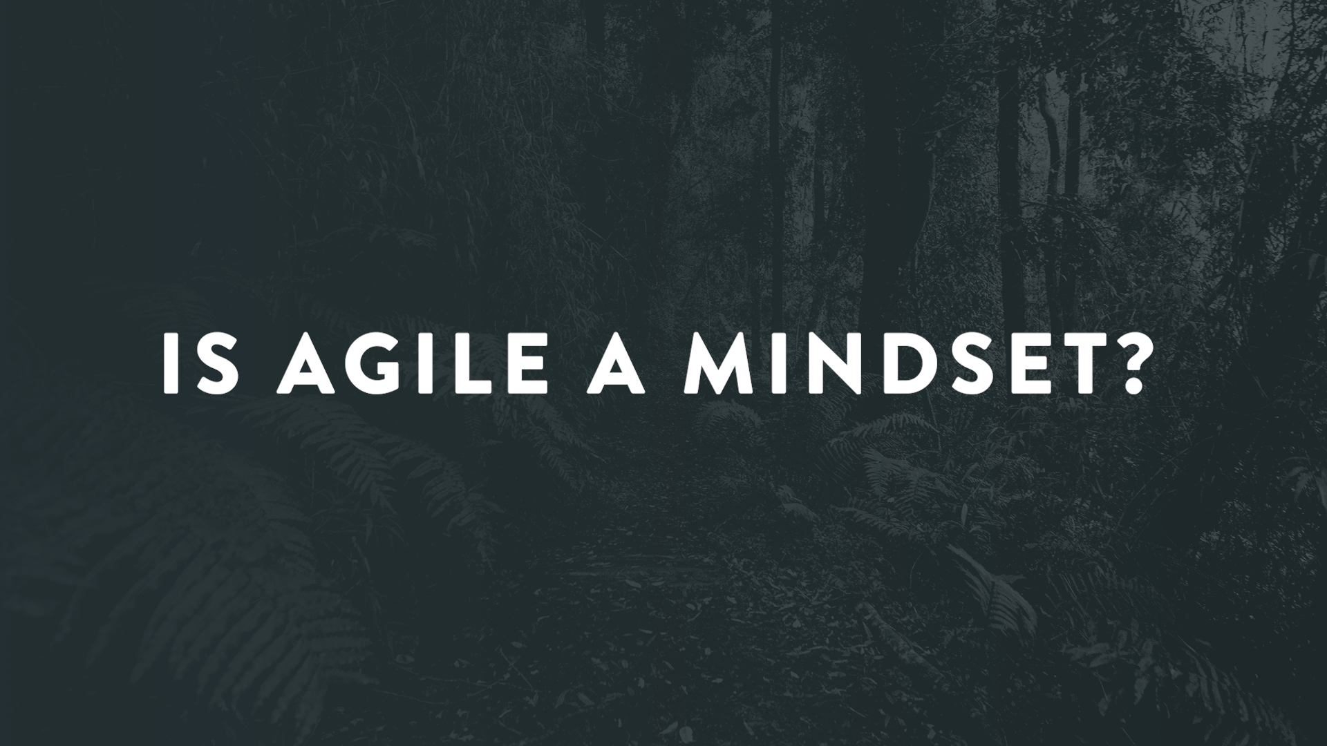 Agile is More Than a Mindset