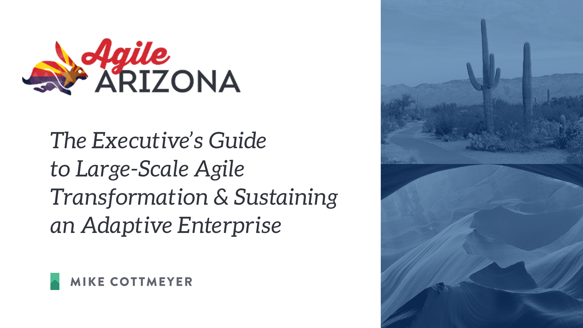  Executive’s Guide To Large-Scale Agile Transformation & Sustaining An Adaptive Enterprise w/ Mike Cottmeyer