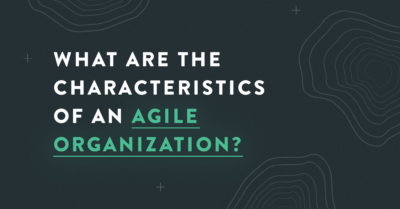 What Are the Characteristics of an Agile Organization?