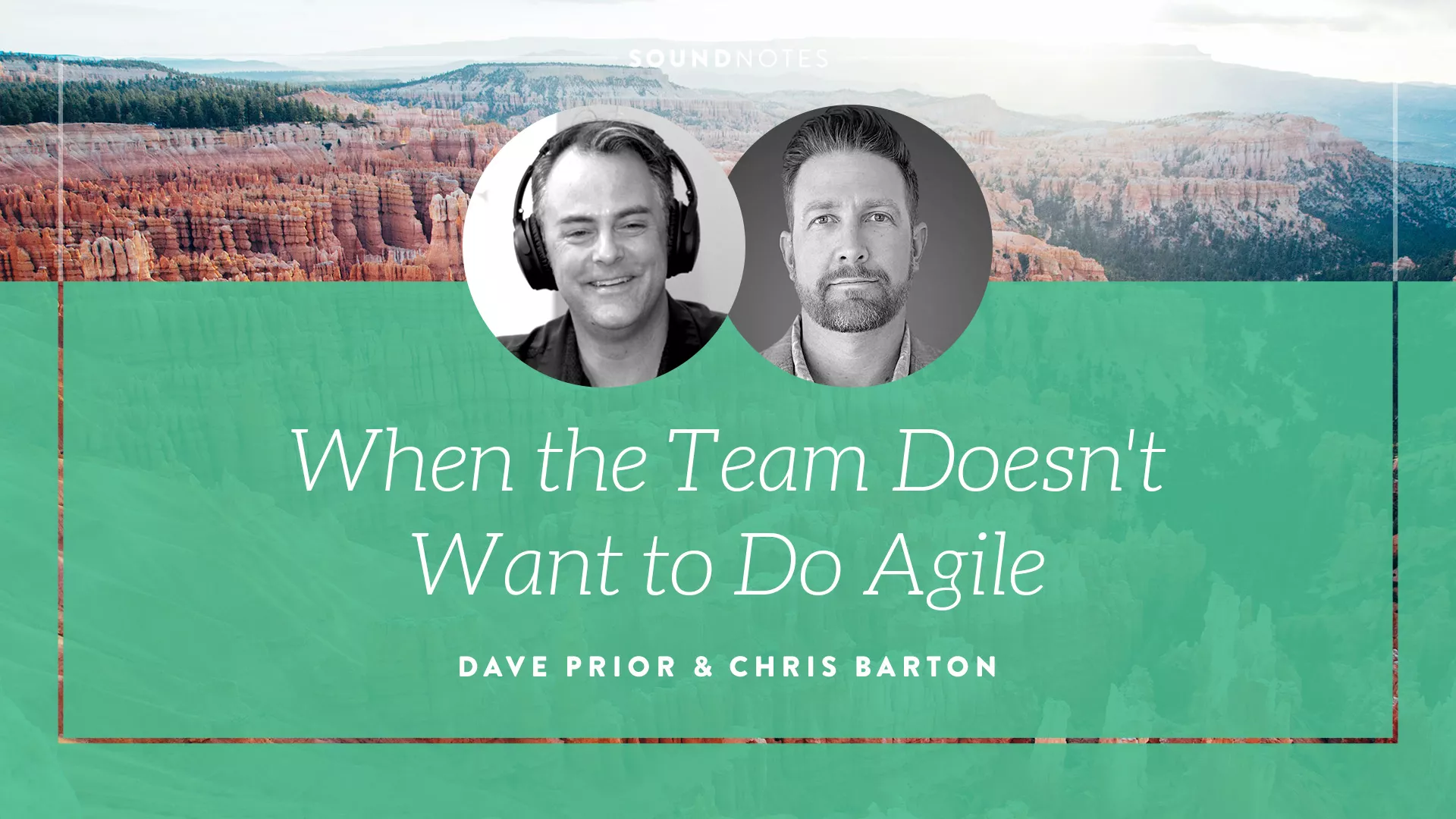 How Do I Get My Team to Want to Do Agile When They Don’t Want to Do Agile?
