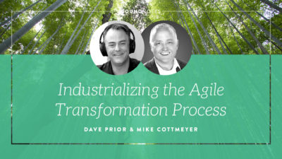 Industrializing the Agile Transformation Process
