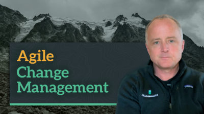 Agile Change Management for Large Companies