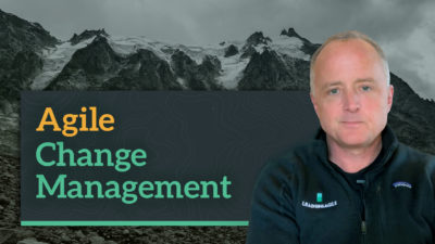Agile Change Management for Large Companies
