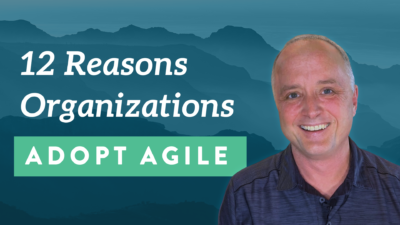 12 Reasons Organizations Adopt Agile