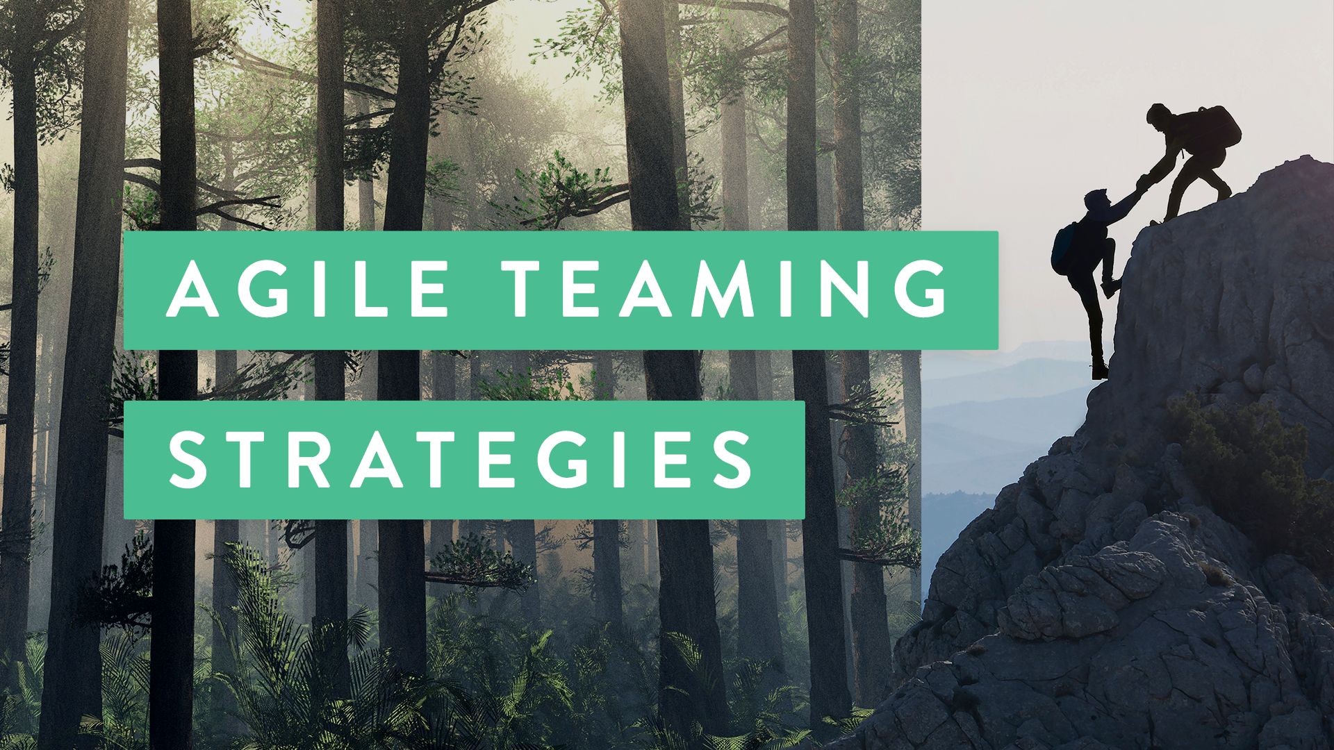 Agile Teaming Strategies